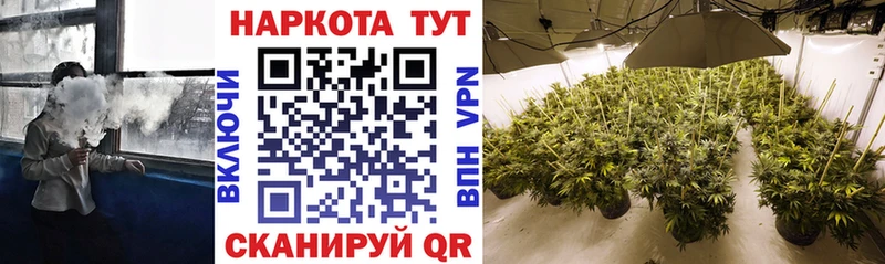 Магазин наркотиков Кушва Alpha-PVP  Cocaine  MDMA  ЭКСТАЗИ  Канабис  ГАШИШ  Меф 