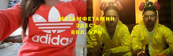 прущие грибы Бронницы