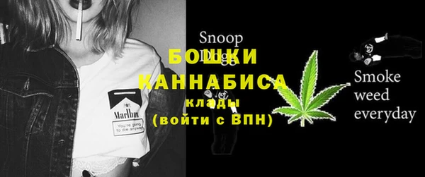 прущие грибы Бронницы