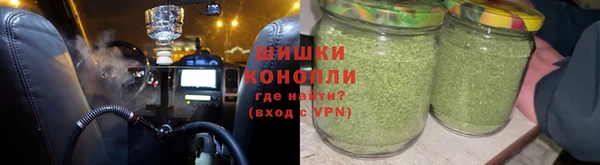 прущие грибы Бронницы