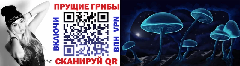 Галлюциногенные грибы ЛСД даркнет какой сайт Кушва MEGA ТОР